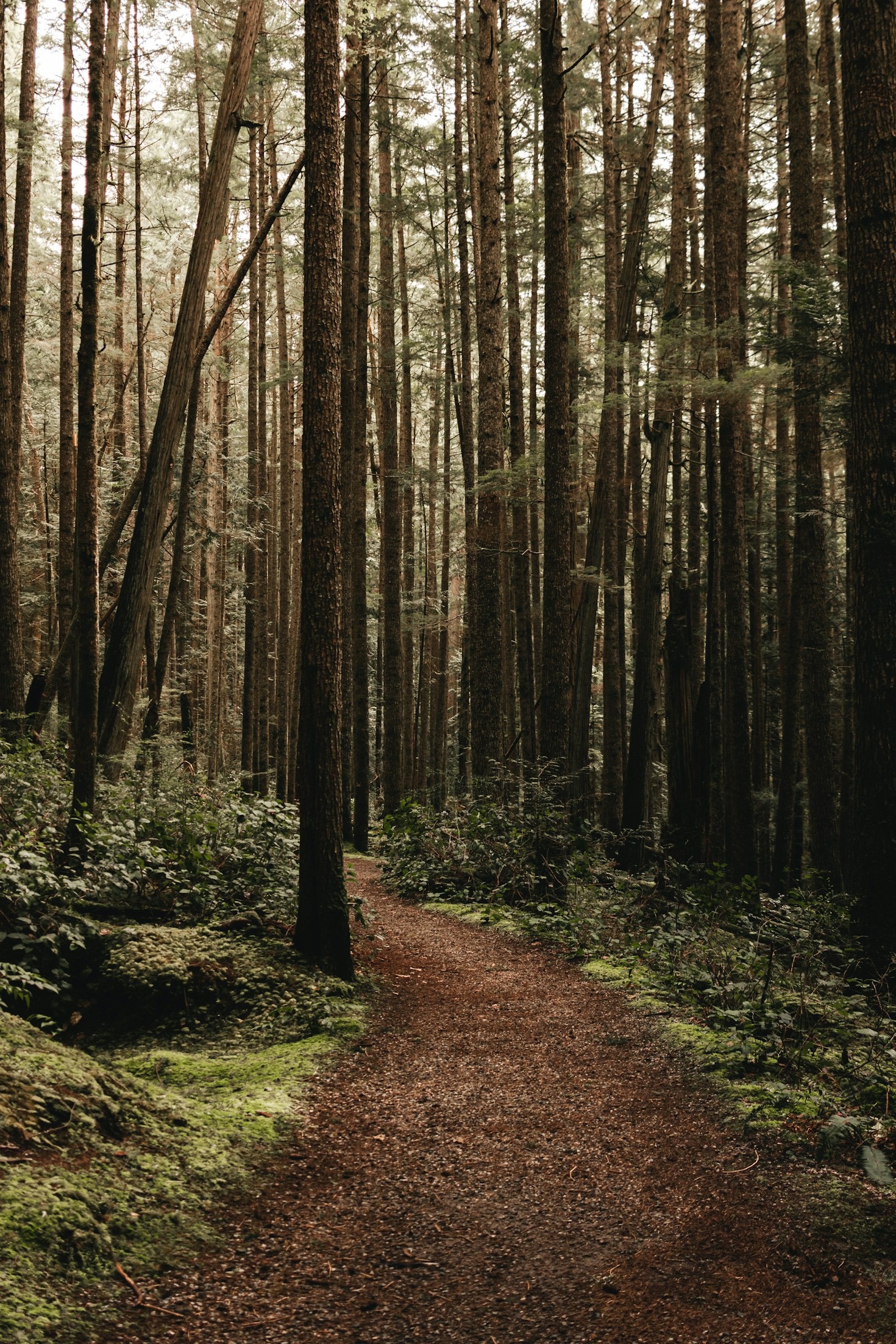 Finding Fulfillment in Small, Meaningful Actions